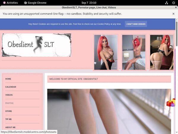 0bedientSLT 