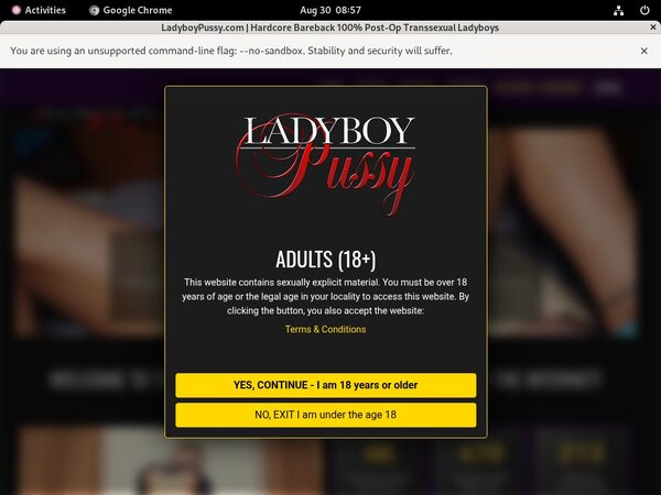 Account Premium Ladyboy Pussy
