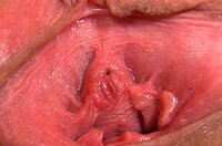 All Gape My Pussy s2