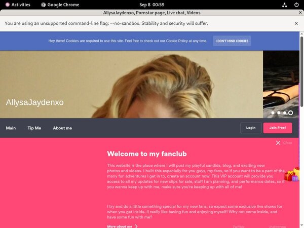 Allysajaydenxo.modelcentro.com Login Information