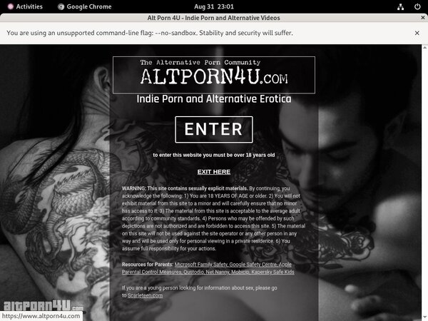 Alt Porn 4 U Free Account And Password
