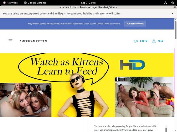 Americankittens Account 2015