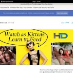Americankittens Payment Form