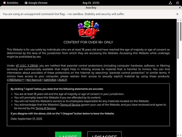 Asiaboy.net Porn Pictures