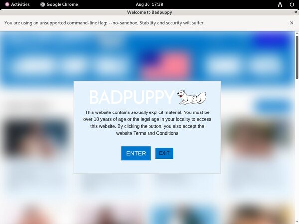 Bad Puppy Free Online