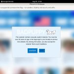 Badpuppy Images