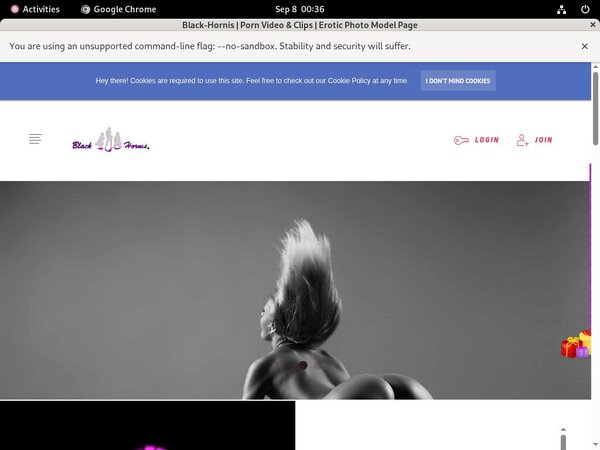 Black-hornis.net Promo Id