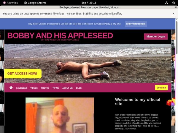 BobbyAppleseed Accept Pay Pal