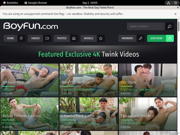 Boy Fun Password