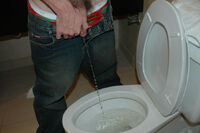 Boys Pissing With Westbill s0