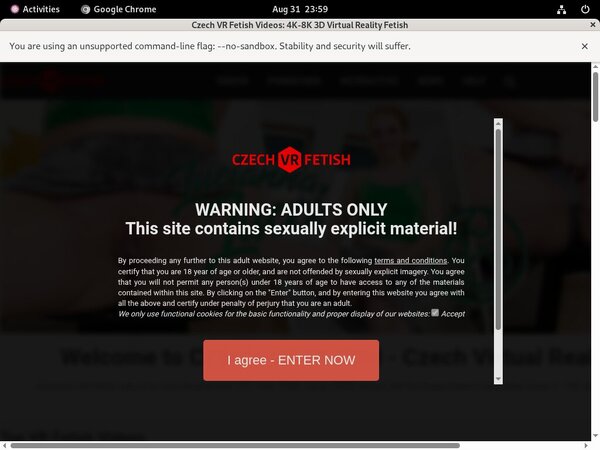 Cracked Czechvrfetish Account