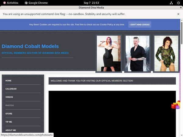 DiamondDivaMedia Paysite Review