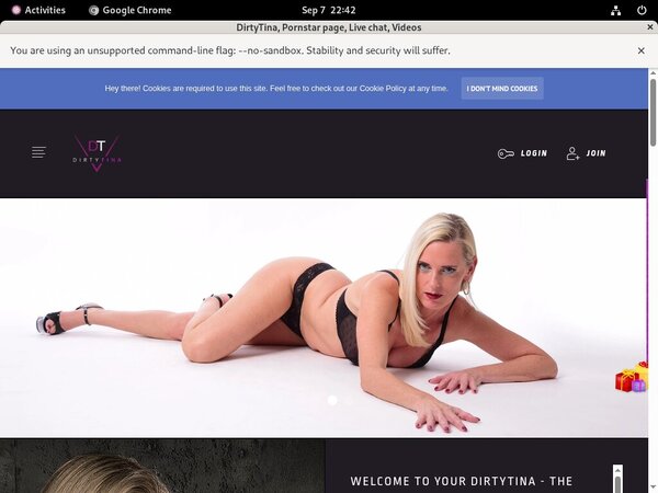 DirtyTina Update