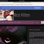 Discount For Alice Kitten