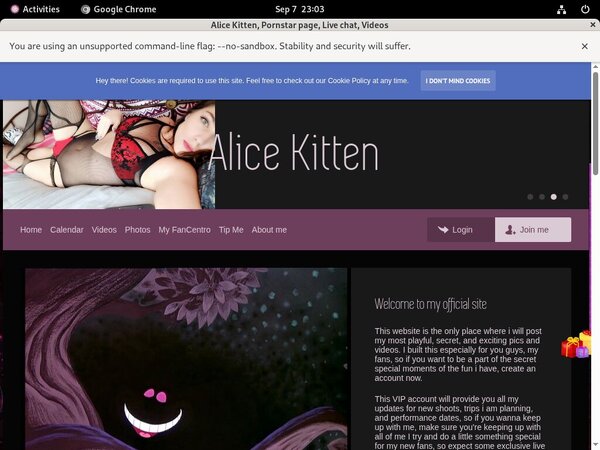 Discount For Alice Kitten