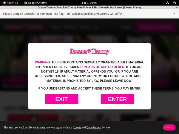 Dreamtranny.com Exclusive Discount