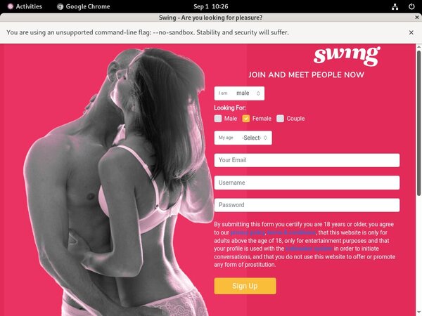Free Accounts On Swing.net Free Accounts On Swing.net