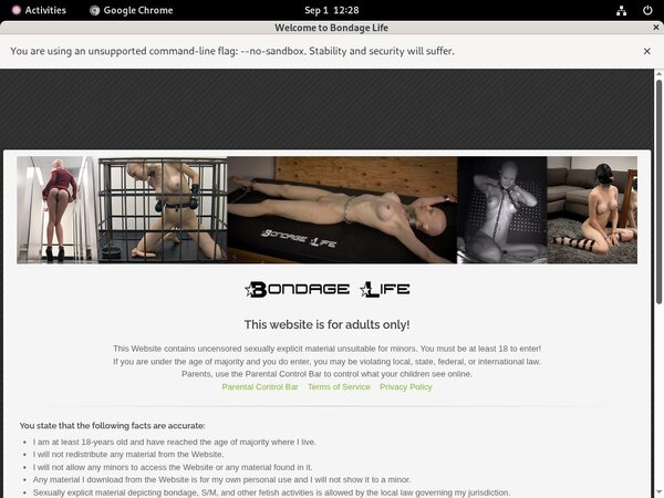 Free New Bondage Life