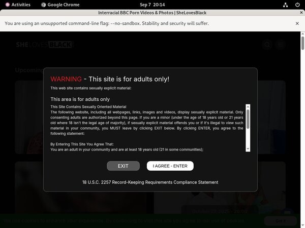 Free Video Shelovesblack