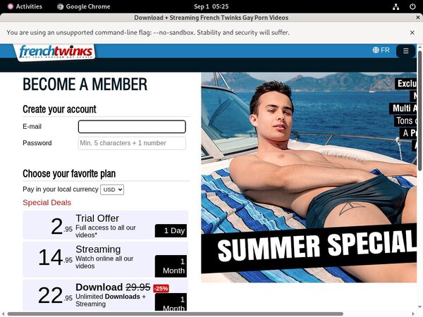 French Twinks Webcam