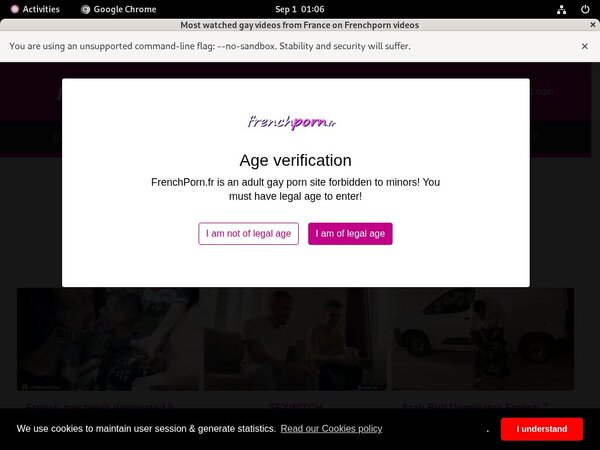 Frenchporn Check Out