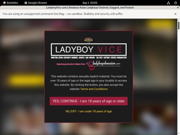 Get A Free Ladyboy Vice Password