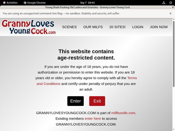 Grannylovesyoungcock.com With Amex