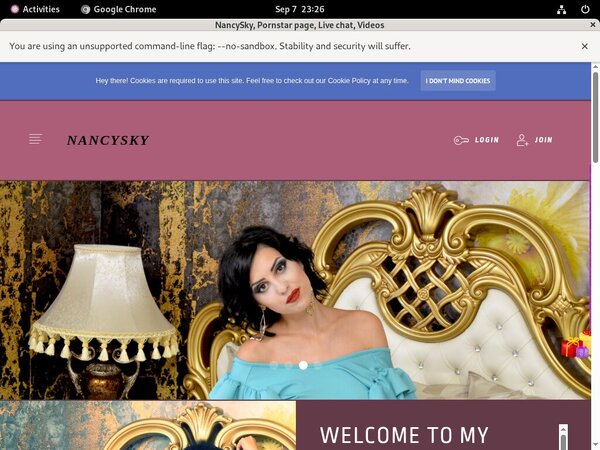 How To Get NancySky Free