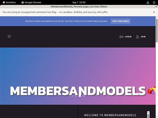 Inside MembersandModels
