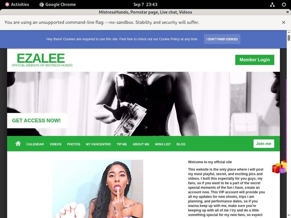 Izaleecortez.modelcentro.com Accounts And Passwords