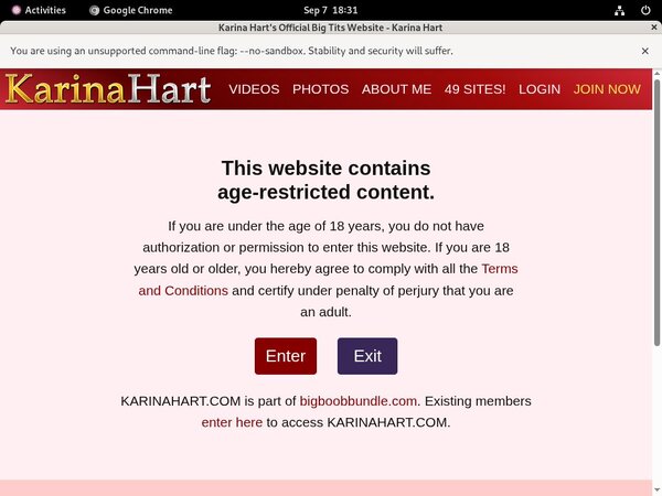 Karinahart Website