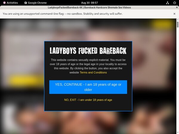 Ladyboysfuckedbareback Coupon Code