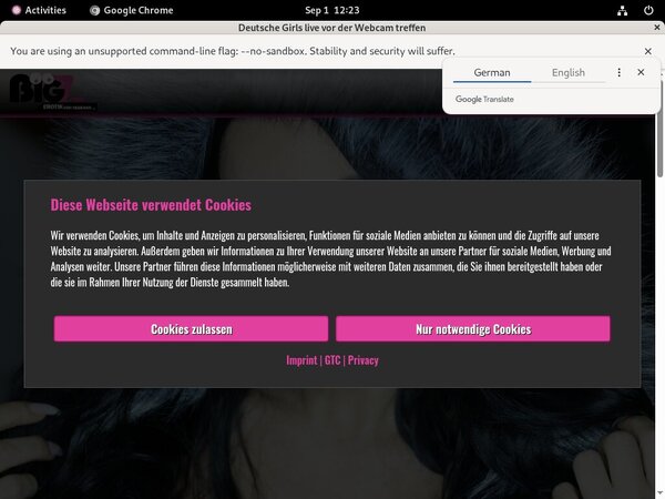 Lana Giselle Free Hd Porn