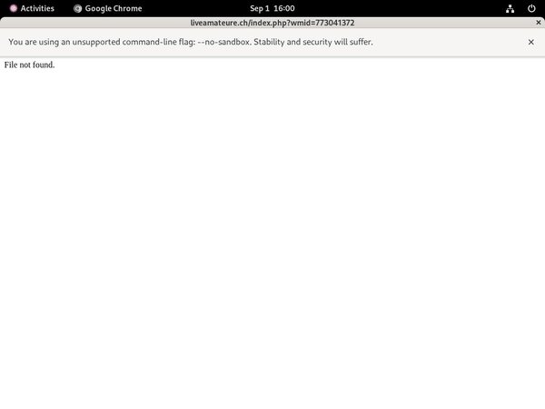 Liveamateurech Chat