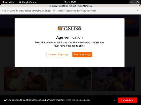 Meno Boy Member Passwords