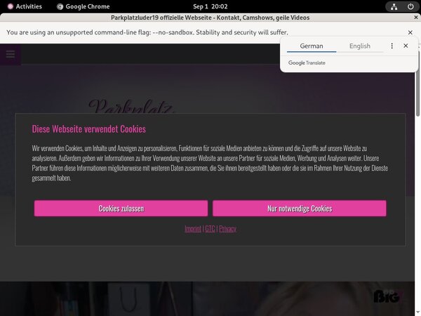 Parkplatzluder19 New