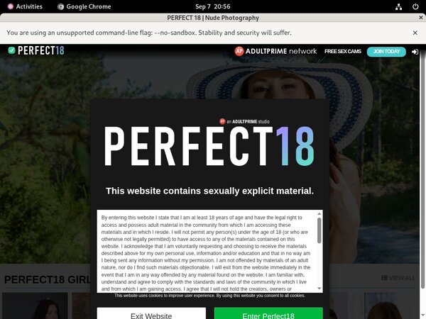 Perfect 18 Pornhub