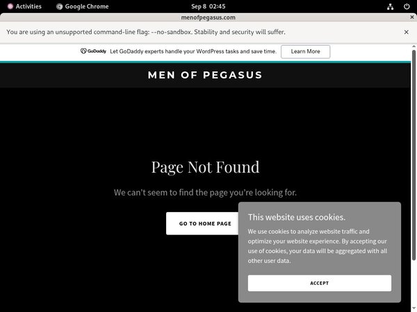 Promo Codes Menofpegasus.com