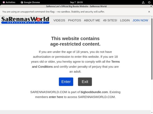 Sarennasworld Cost