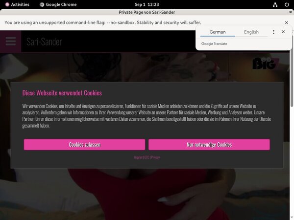Sari-sander.com Footjob