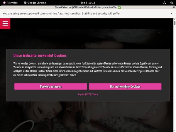 Sina Valentini Accounts Free