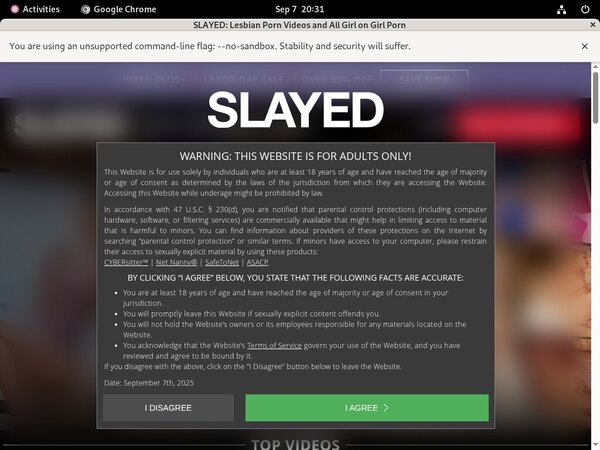 Slayed Updates