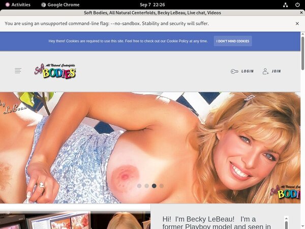 Softbodies Website