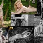 Subspace Land Porn Login