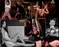 Subspaceland With Australian Dollars s0