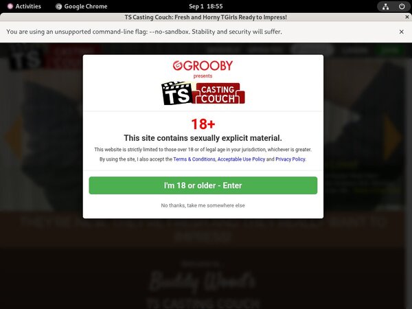 TS Casting Couch Free Mobile