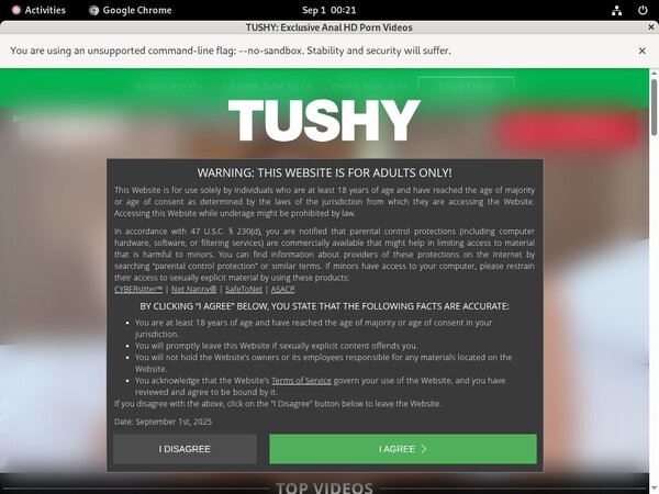 Tushy Pon