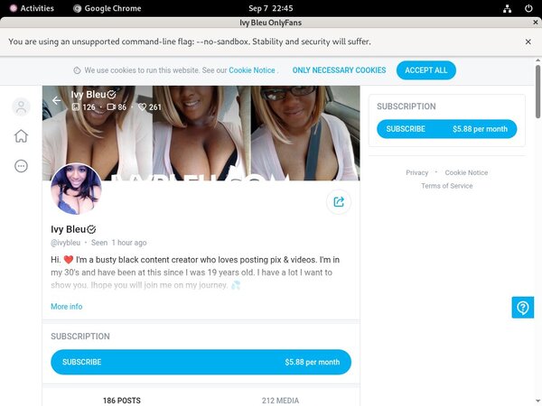 Using Paypal Ivy Bleu