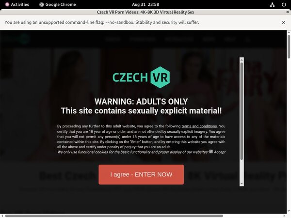 VR Czech Free Login