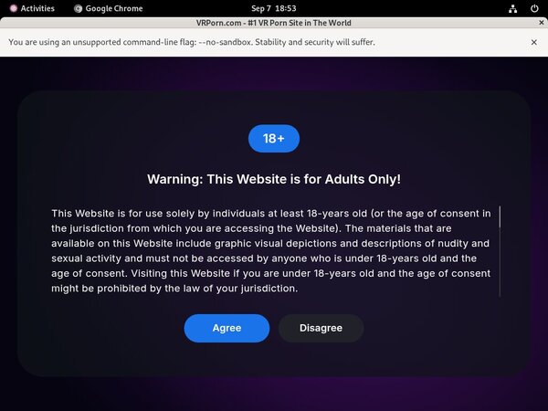 VR Porn Access